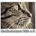 Straßenkatzen Köln e.V.